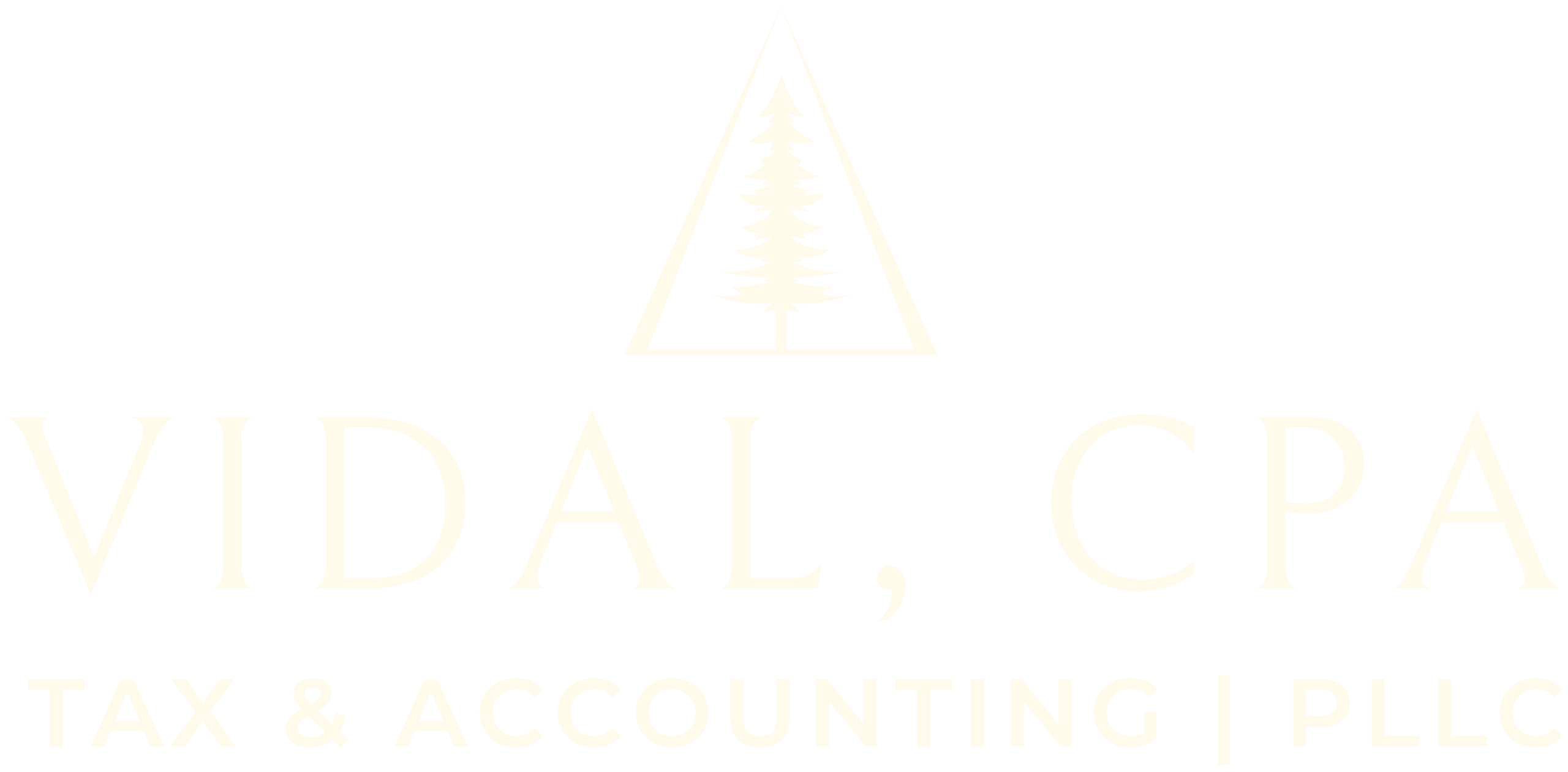 Vidal, CPA